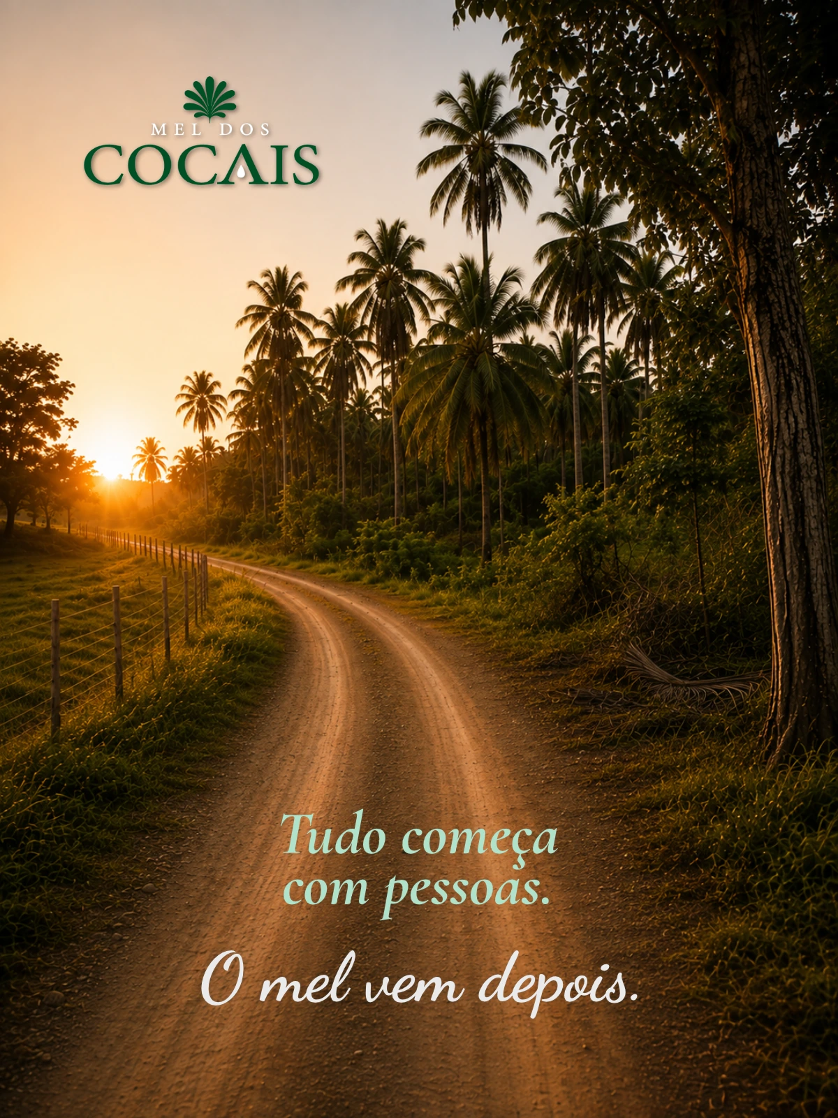 Mel dos Cocais — Tudo começa com pessoas. O mel vem depois.